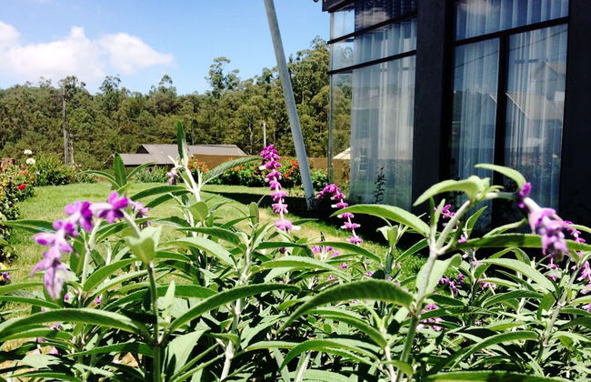 Kingsford Residences - Foto 31