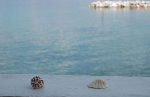 Asmini Studios - Foto 48