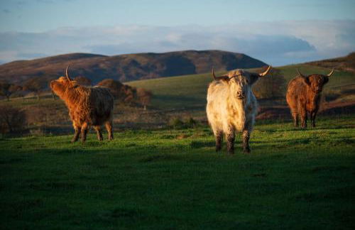 Kennels Cottage - Photo 21