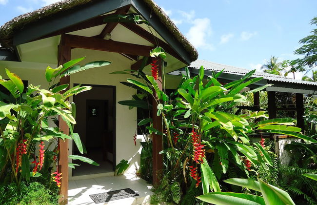 Troppo Mystique - Photo 32