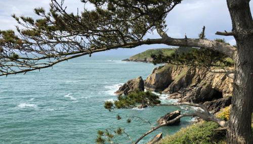 le penty plougonvelin - Photo 3