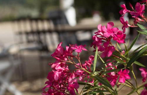 À mont nos hôtes 2 - Foto 27