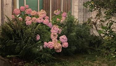 La charmante petite maison - Foto 3, Garden