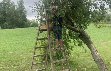 Tilia authentic home, butikowe apartamenty nad morzem - Photo 18