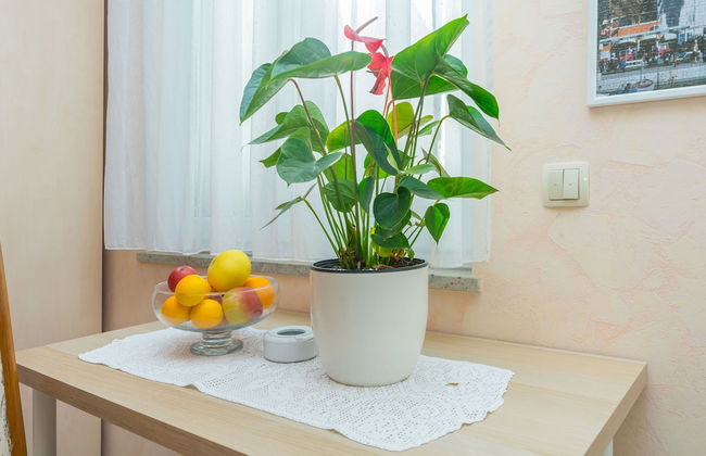 Apartments Tonko - Foto 21