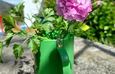 Casa Do Palheiro - Photo 78