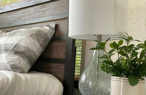 OU-Walk to Campus , Downtown ; Designer Studio - Foto 19