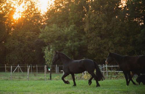 Villa de rêve - Foto 15