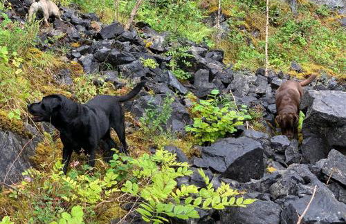 Kabin in the woods with Hot Tub - Foto 69