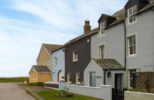 Gulls Hatch - Foto 2