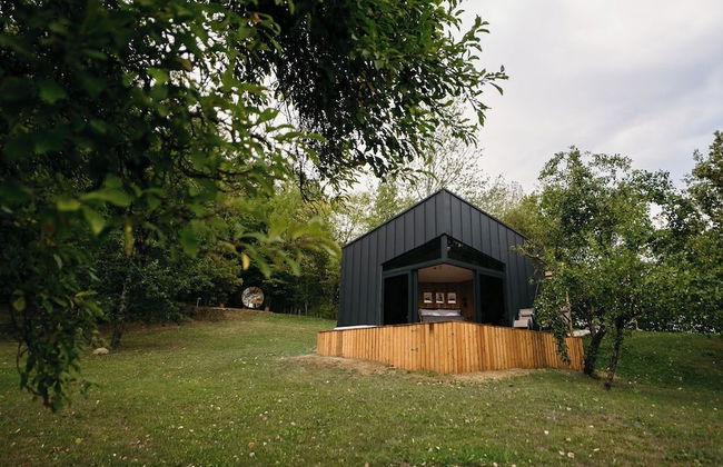 PurpleVague - Photo 4