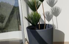 Marco Polo Apartment - Foto 11