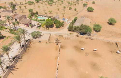 Finca Sonduri - Foto 59