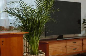 Große Wohnung mit 2 Schlafzimmer - Foto 7