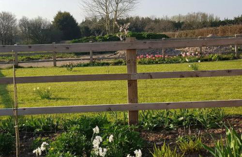 Sweet Meadow Lodge - Foto 30