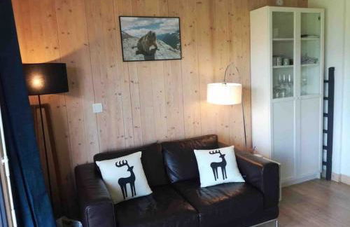 La marmotte: Vue Mont Blanc, terrasse, parking - Foto 28