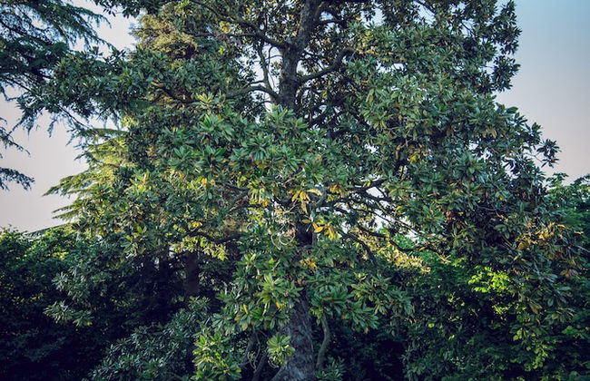 Corte Finzi - Photo 50