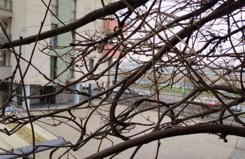 B&B Casa Fortunata - Foto 27