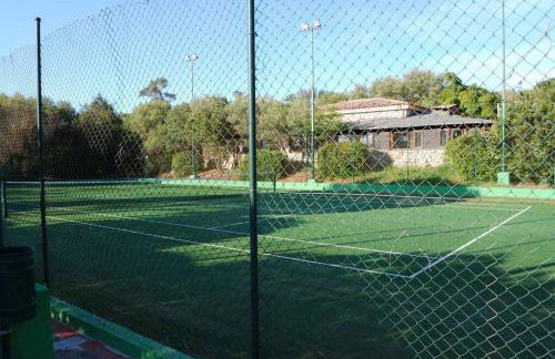 La tartaruga - Photo 19