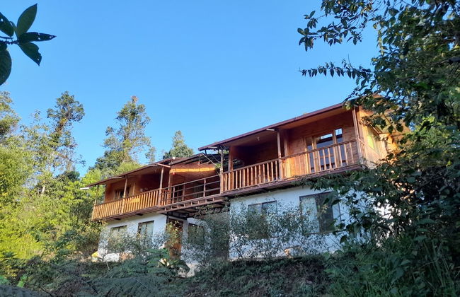 Sendero de las aves - Foto 18