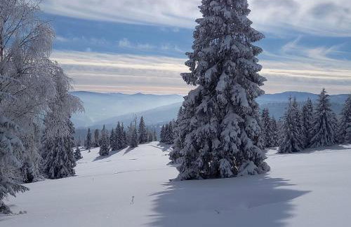 Holiday Home in den Bergen- Villa mit Panoramaterrasse by Interhome - Foto 30