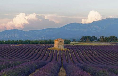 Appartement face au lac - Foto 14