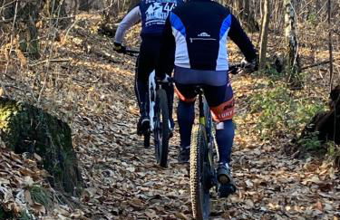 Apartment Gisa with Private Pool - Foto 33