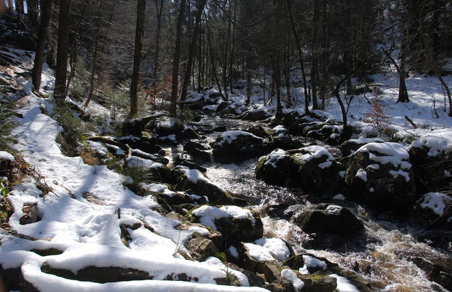 Beautiful Castle in Spa wit Garden - Photo 37