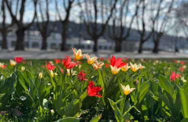 RheinLoft Apartment - Balkon & Parkplatz "optional" am Deutschen Eck - Foto 28