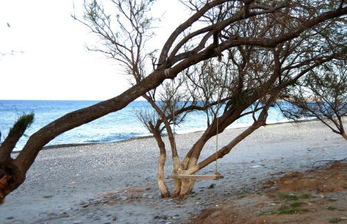 Augusta Country House - Foto 32