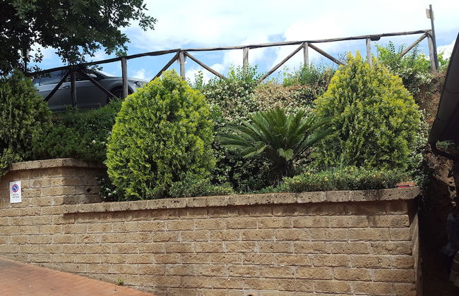 Azienda Agricola Sinisi - Foto 29