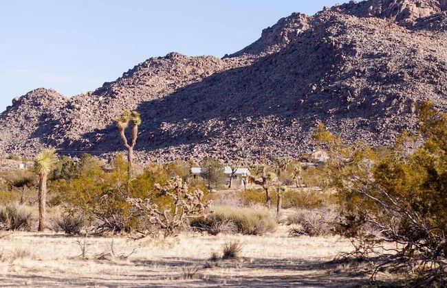 @ Marbella Lane - 10 Acres Oasis Desert Retreat! - Foto 35