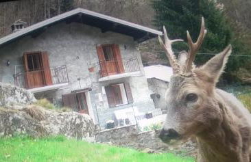 Baita salzkabe - Foto 10