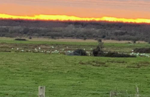 Sea Salt Cottage - Mins to beach & shops Dog Friendly - Foto 29