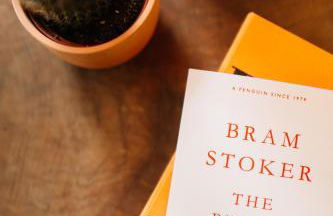 Modern Studio Apartment with Kitchenette near Belfast - Foto 12