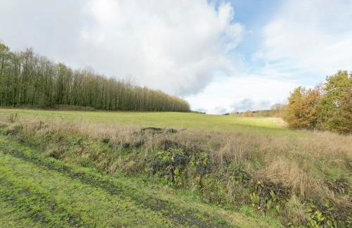 Ferienhaus in Liebenscheid nahe Fuchskaute - Foto 18