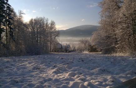 Wysokie Łąki domki w górach - Foto 56