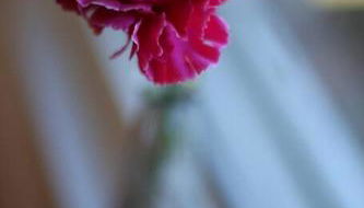 Family Home near NY Beach - Private Workspace - Foto 5