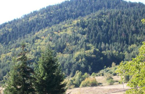 House Veljko - Foto 27