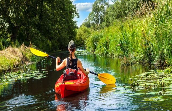 Ferienanlage im Mueritz-nationalpark in Mirow - Photo 19