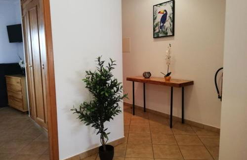 Amoreira Alvor - Praia e Piscina - Foto 24