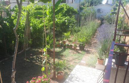 Levak Apartments - Apt.3 - Photo 27