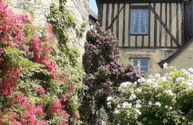 Petite Maison Romantique au calme, Cœur Historique, vue Ville et Jardin - Foto 1