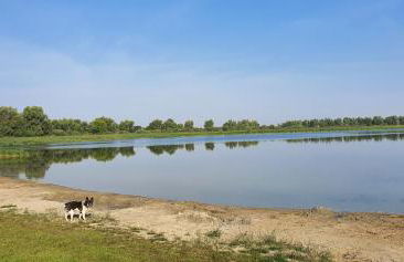 Haus an der Pferdekoppel am Blankenburger See - Photo 25