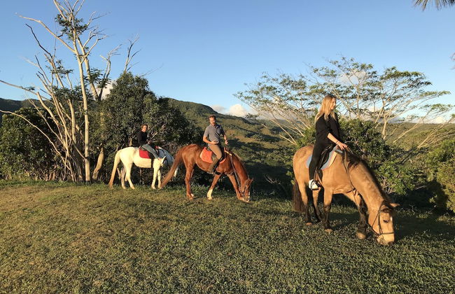 La Vieille Cheminee - Photo 47