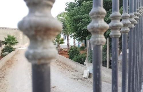 Casa Vacanza L'Agrumeto - Foto 21