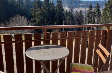 Charmant studio à la montagne - Foto 16