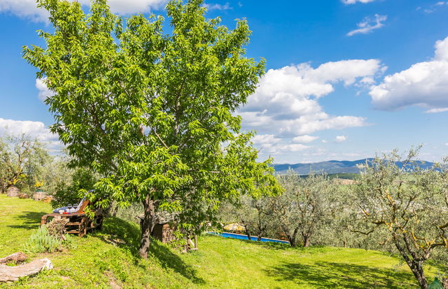 Poggio all'Aia - Foto 79