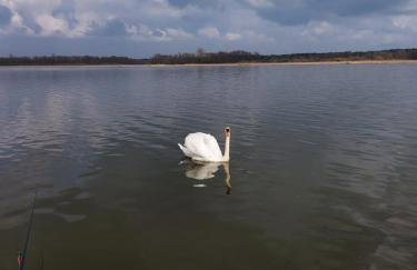 Domki Lawendowy Zakątek - Foto 48