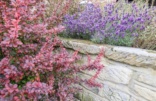 River Forge - Photo 47